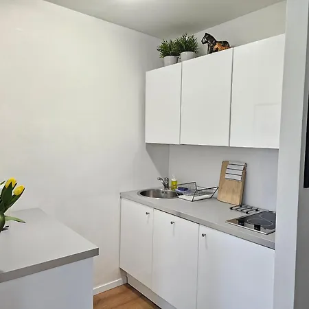 Location In Warsaw! Near Station And Palace Of Culture And Science 公寓